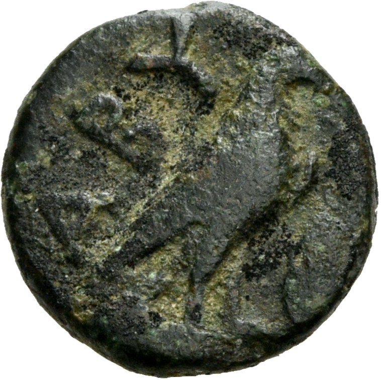 CN Type 2776, реверс, cn-coins