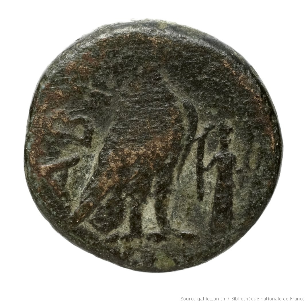 CN Type 2850, реверс, cn-coins