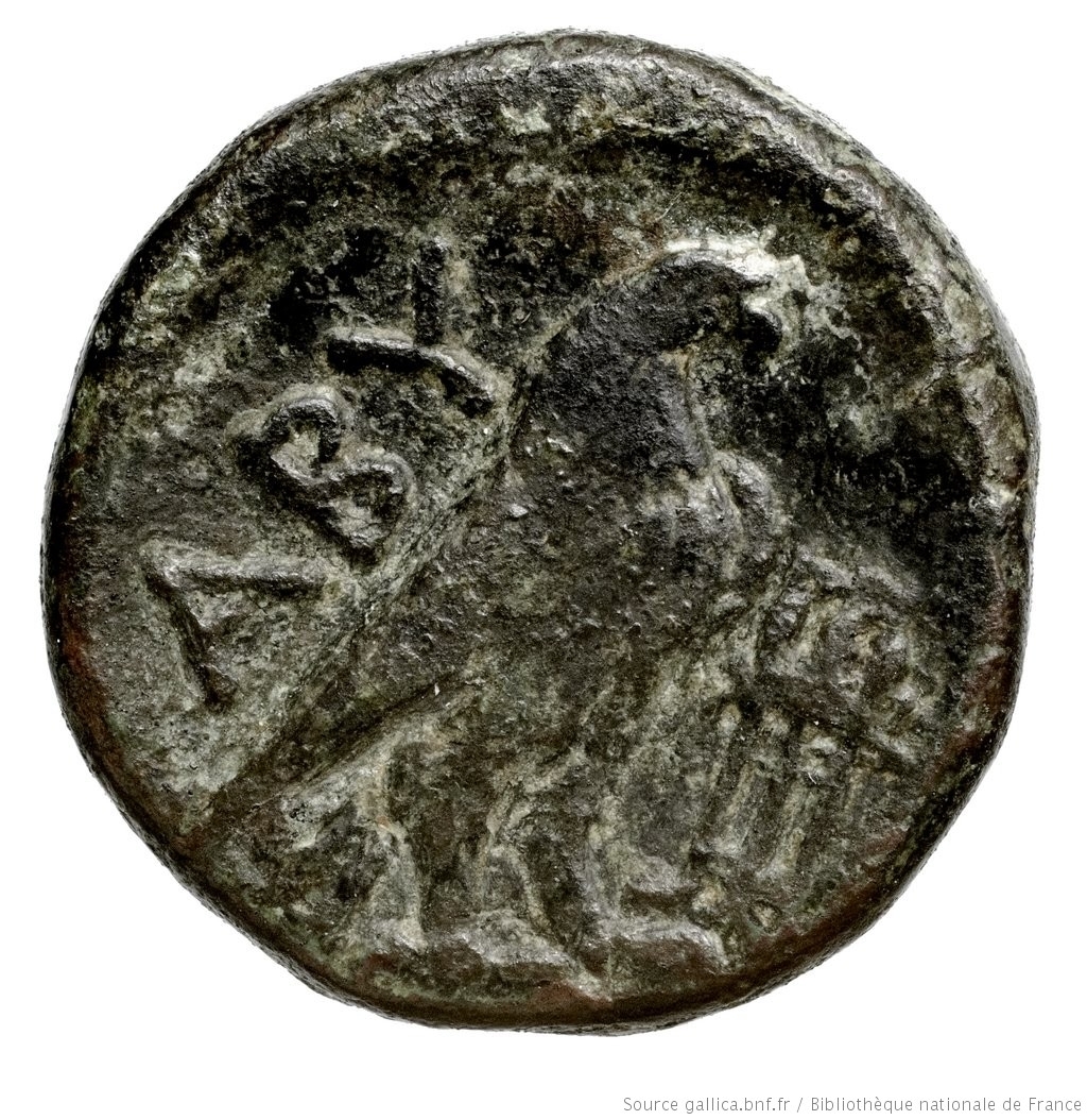 CN Type 2843, реверс, cn-coins