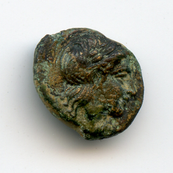 CN Type 2919, аверс, cn-coins