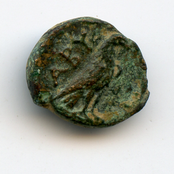 CN Type 2919, реверс, cn-coins