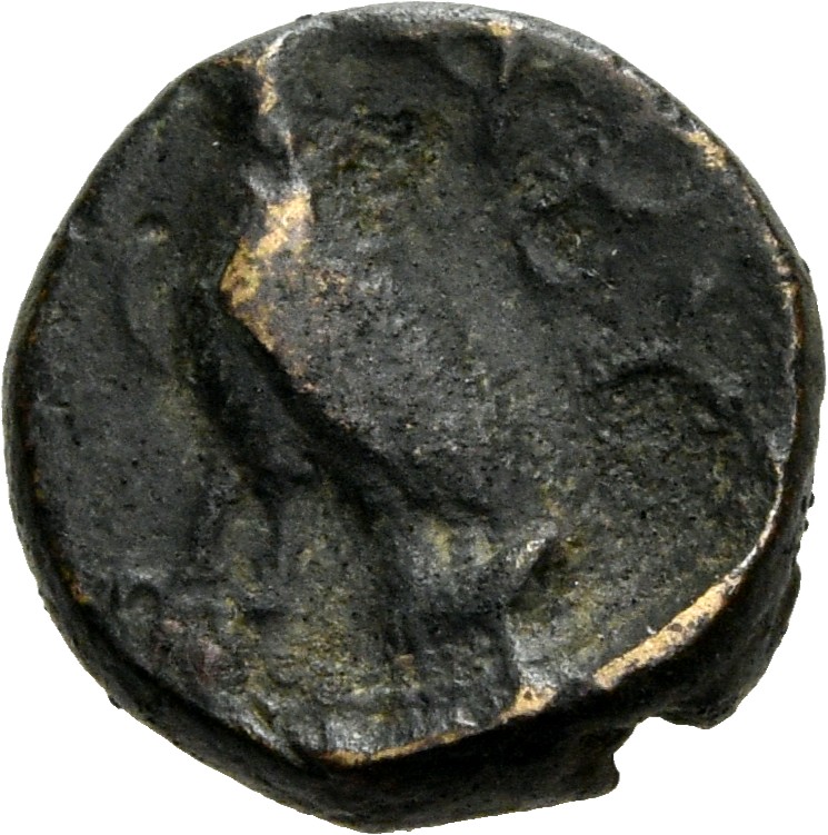 CN Type 2933, реверс, cn-coins