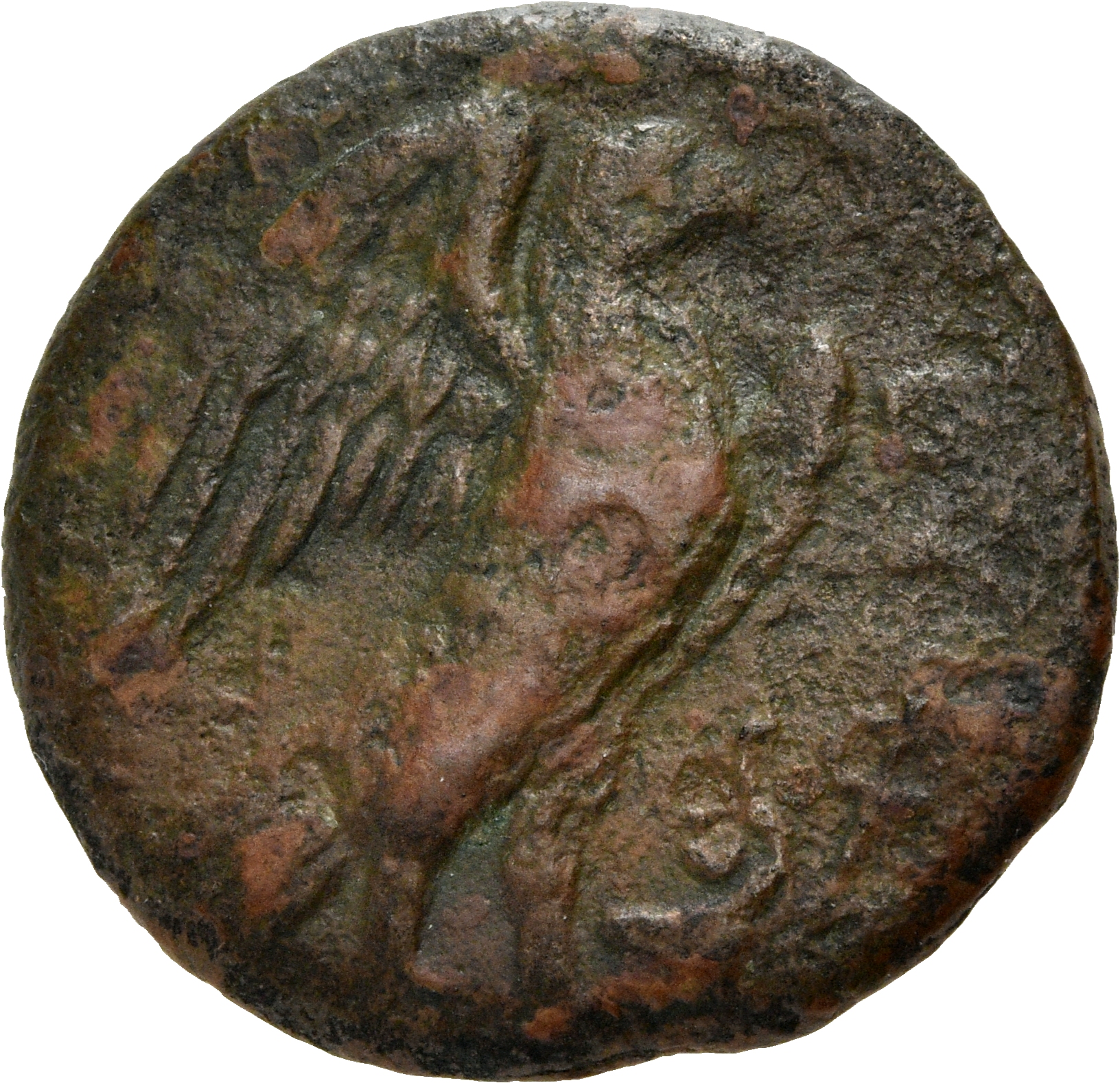coin rev