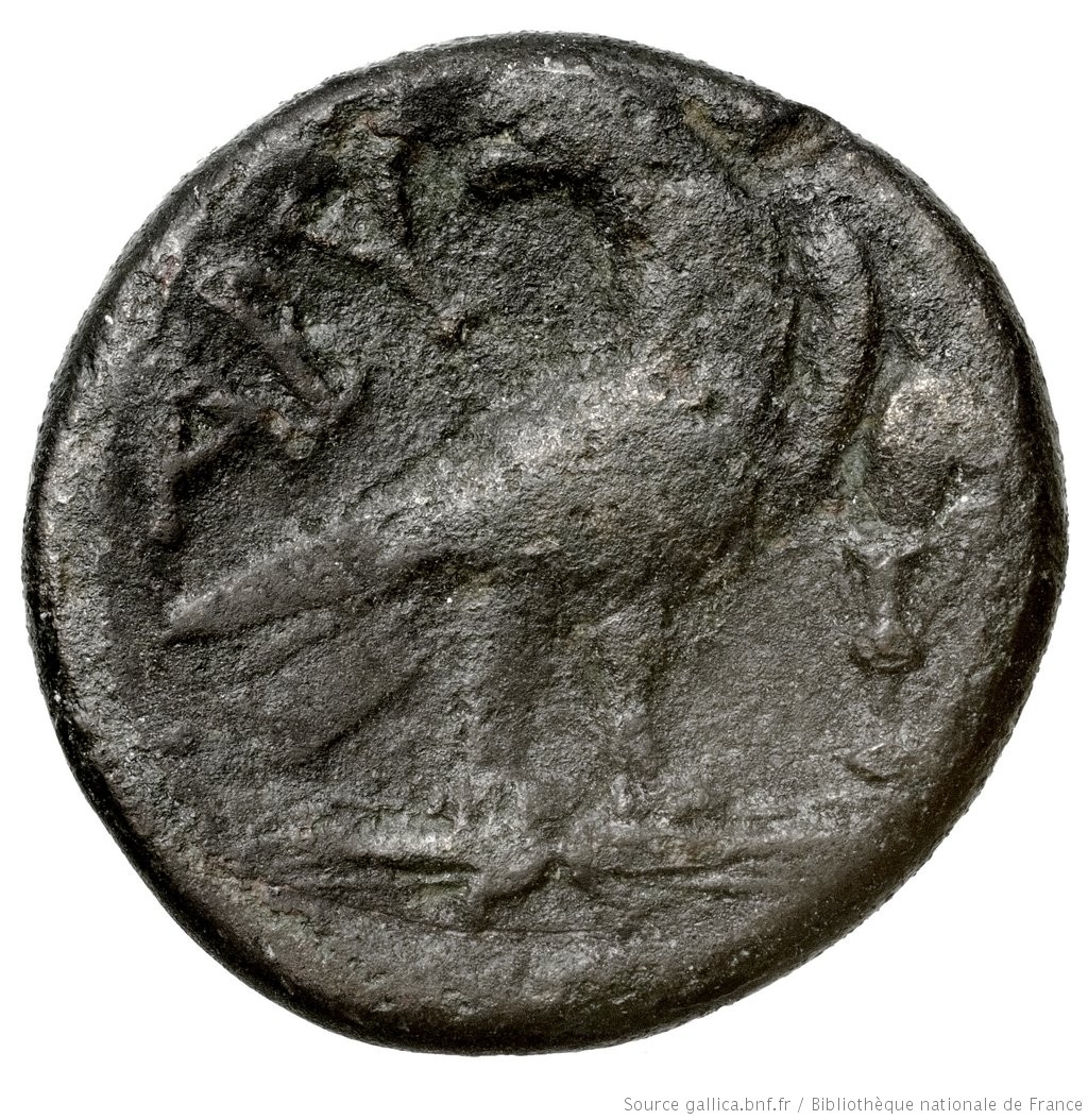 CN Type 3016, реверс, cn-coins