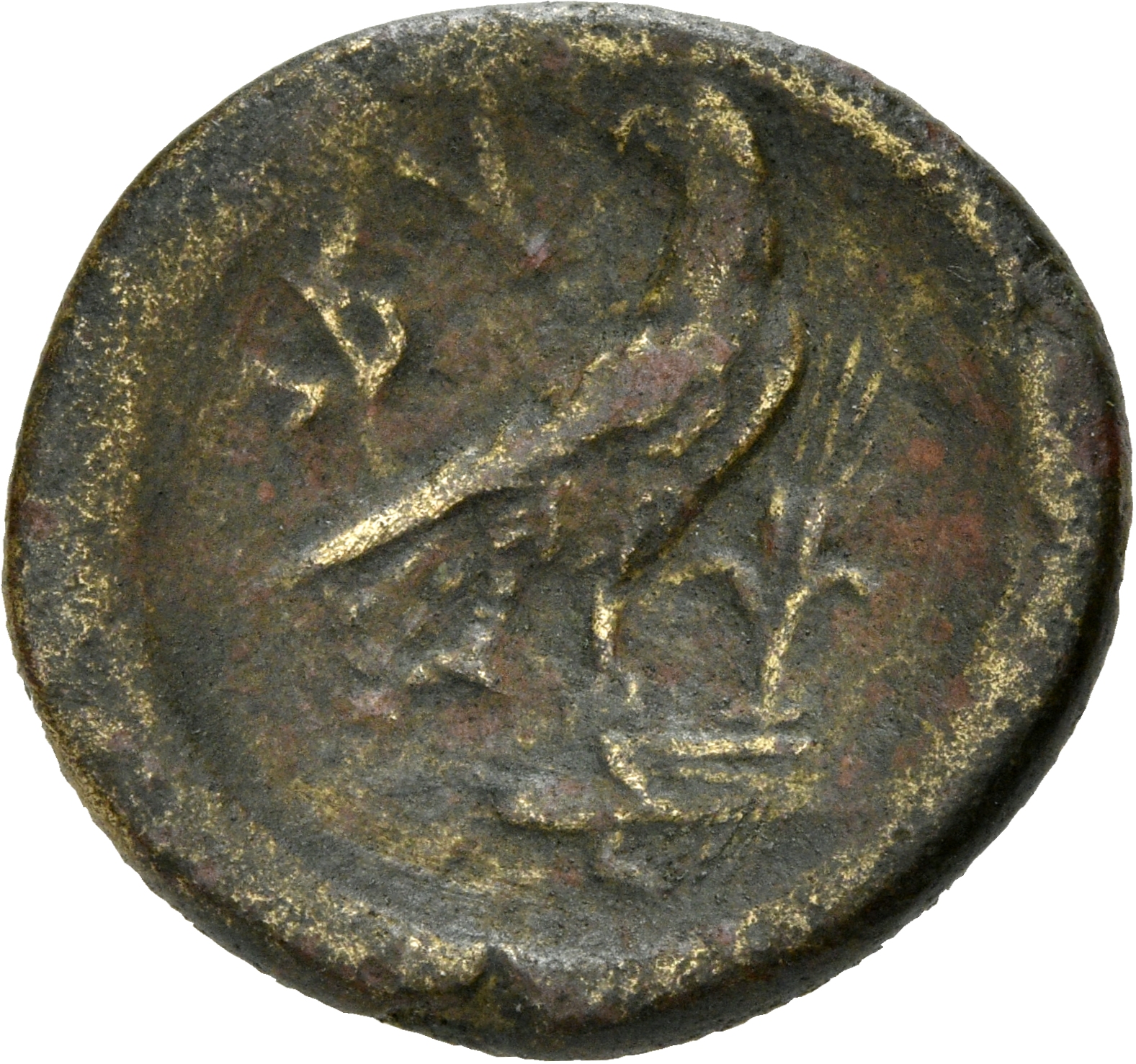 CN Type 3015, реверс, cn-coins