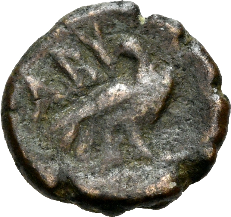 CN Type 3026, реверс, cn-coins
