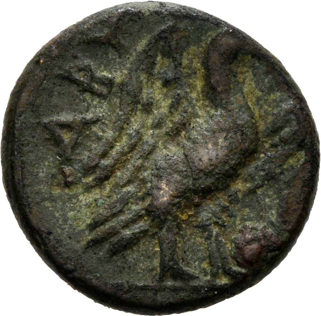 CN Type 3029, реверс, cn-coins