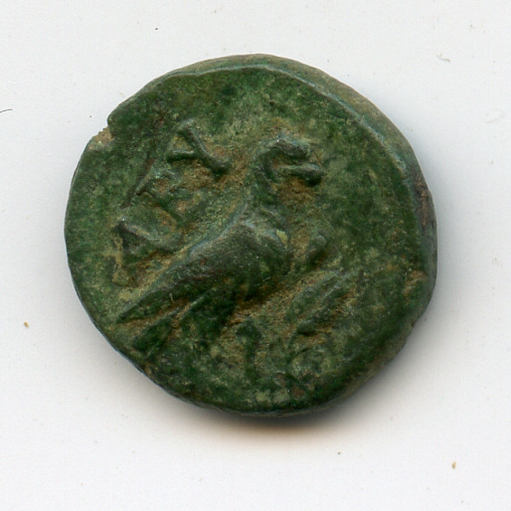 CN Type 3039, реверс, cn-coins