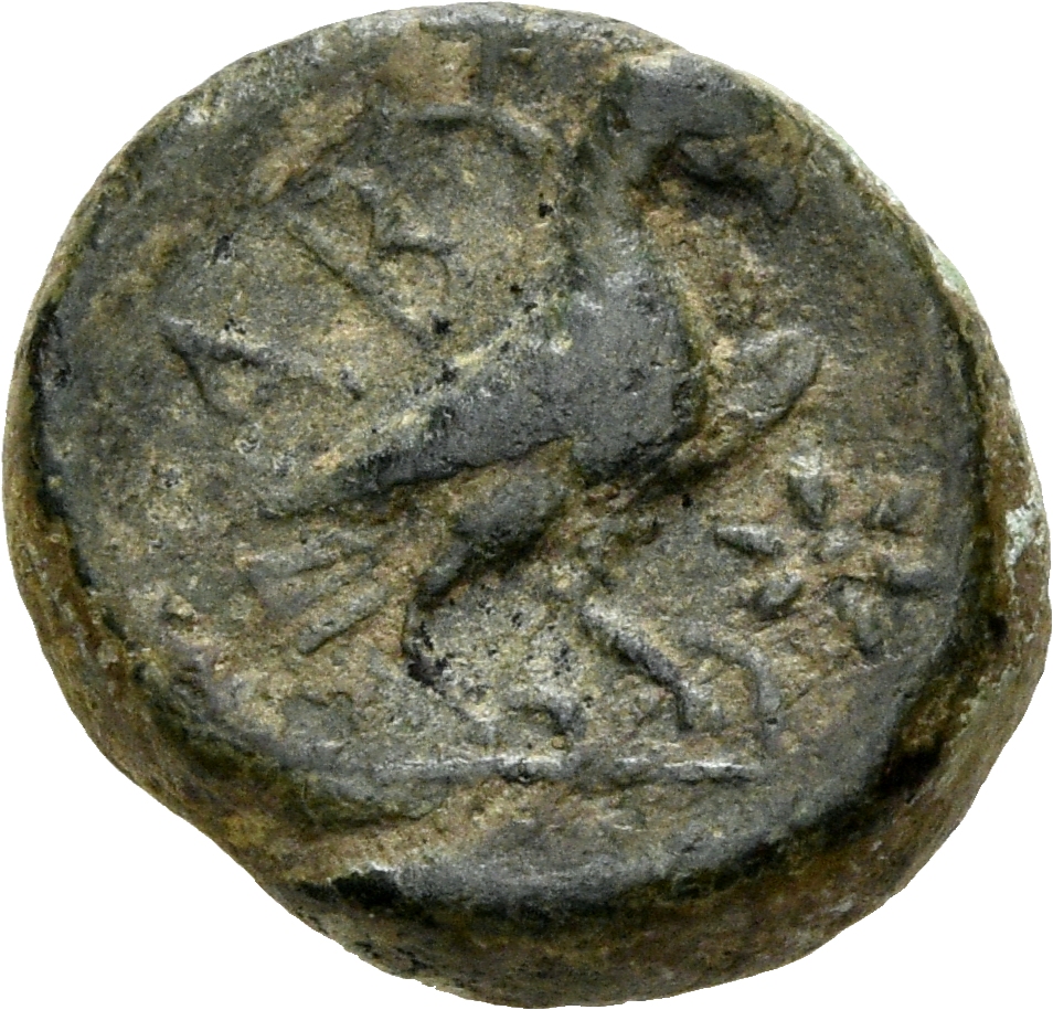 CN Type 3060, реверс, cn-coins