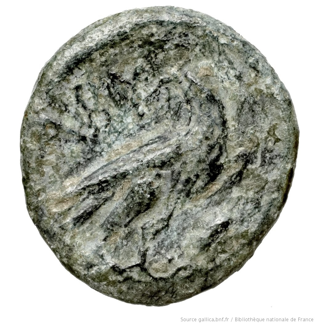 CN Type 3025, реверс, cn-coins