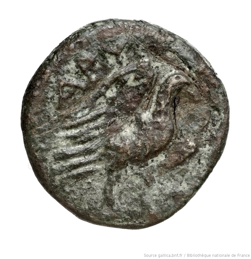 CN Type 3029, реверс, cn-coins
