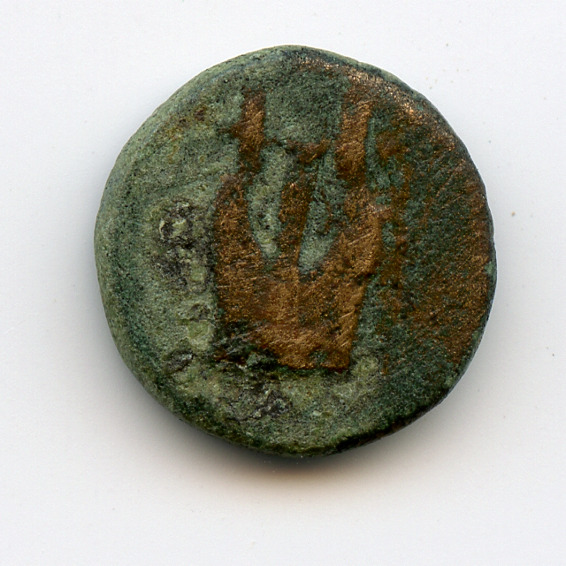 CN Type 3101, аверс, cn-coins