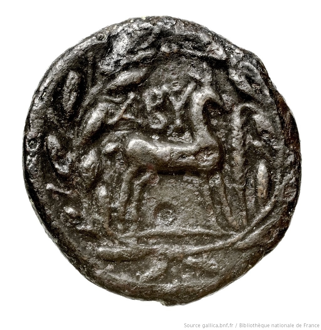 CN Type 3147, реверс, cn-coins