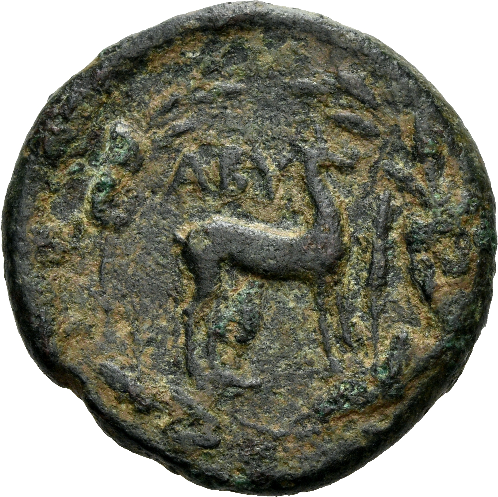 CN Type 3147, реверс, cn-coins
