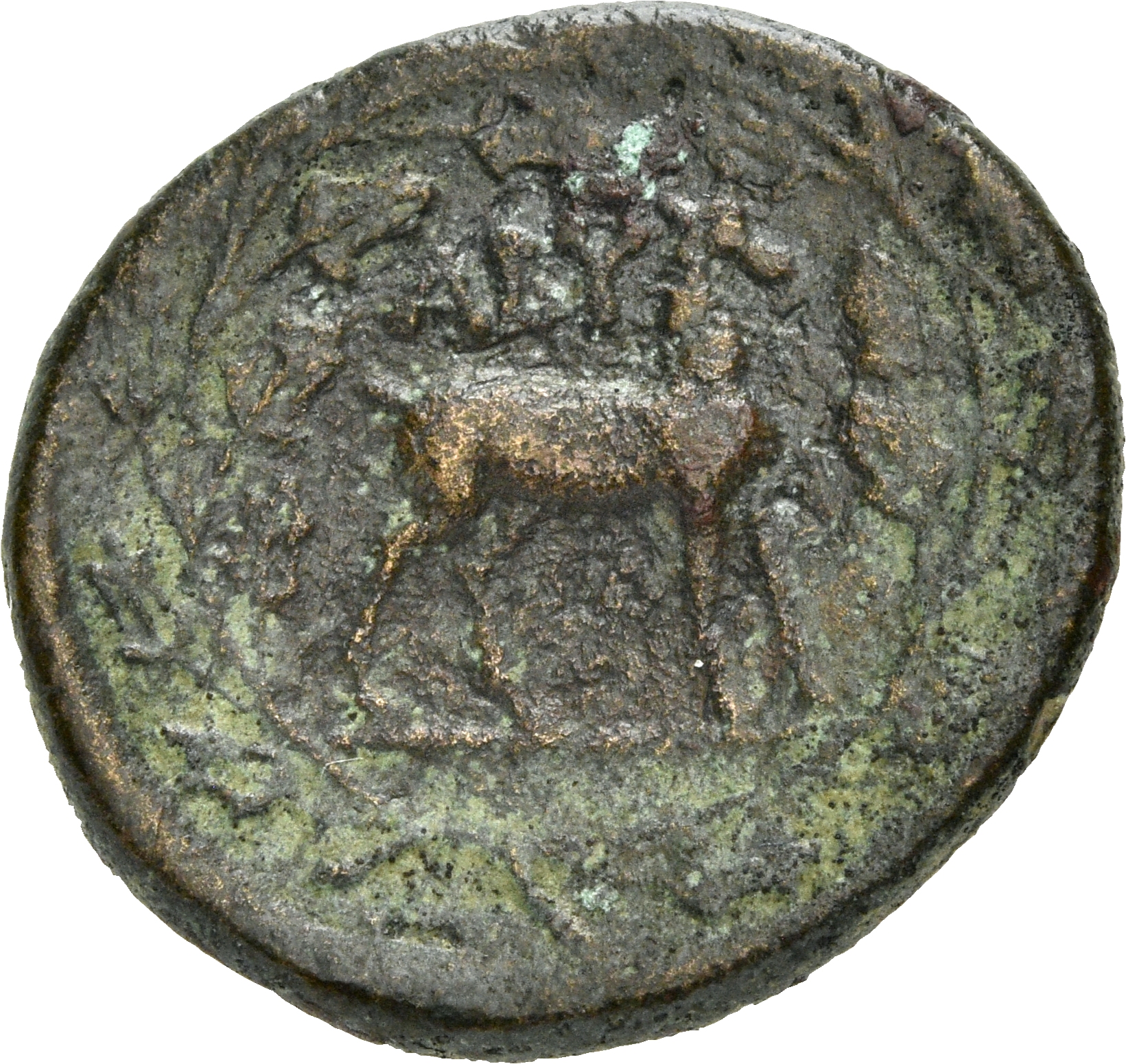 coin rev
