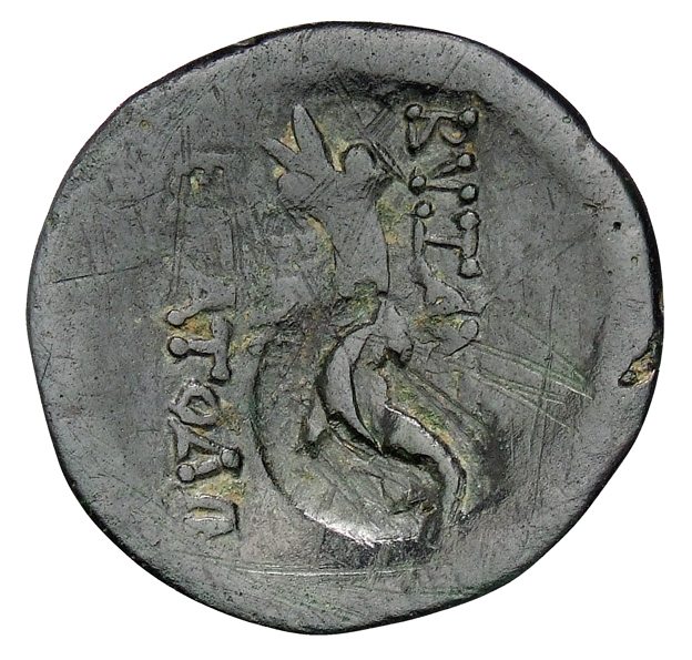 coin rev