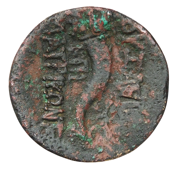 coin rev