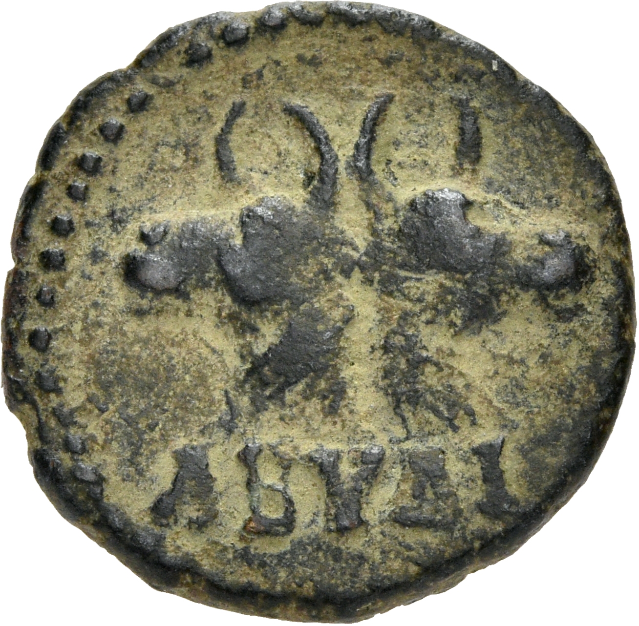 coin rev