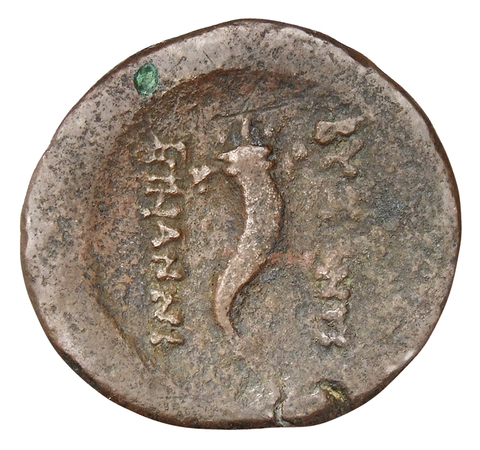 coin rev
