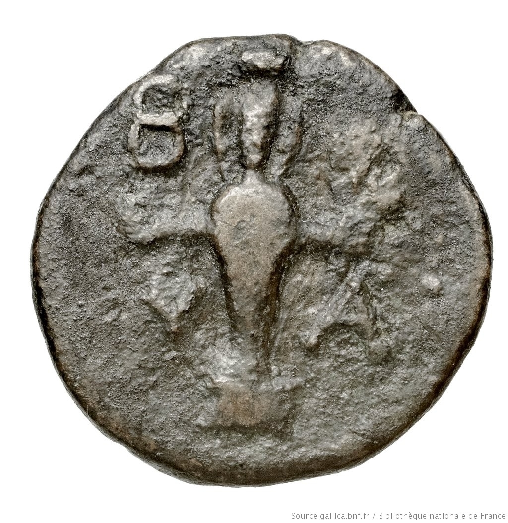 coin rev