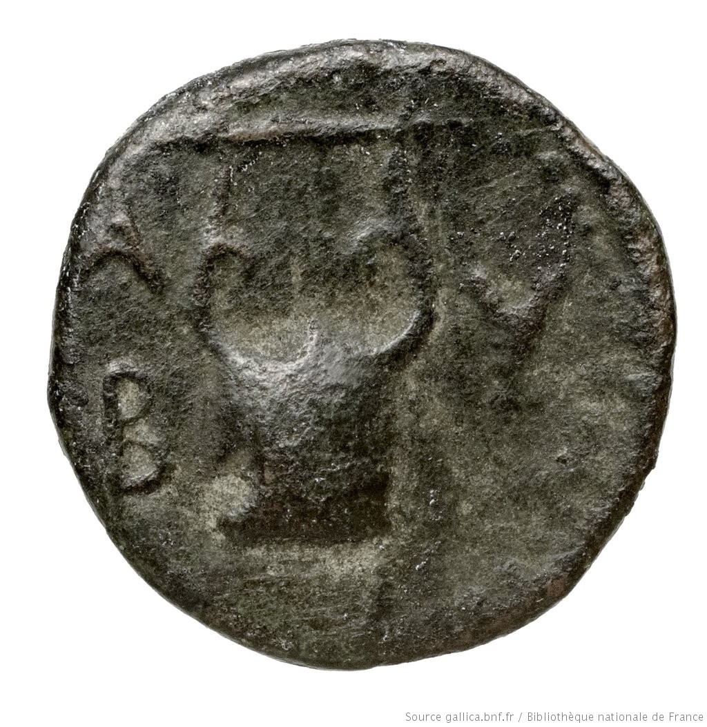 coin rev