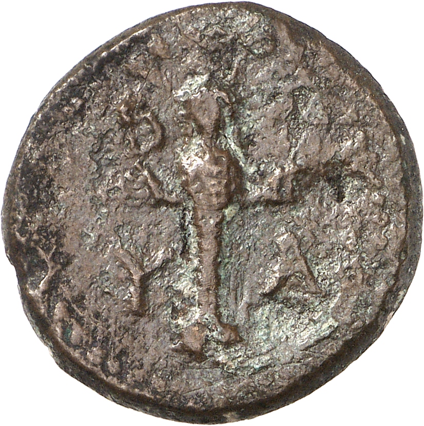 coin rev