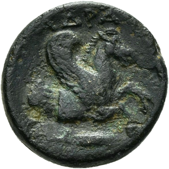 CN Type 3337, реверс, cn-coins