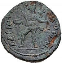 reverse CN Type cn.perinthus.1_ed.565