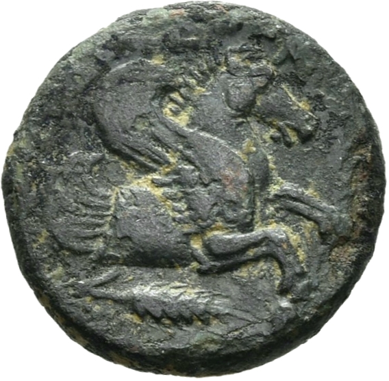 CN Type 3398, реверс, cn-coins
