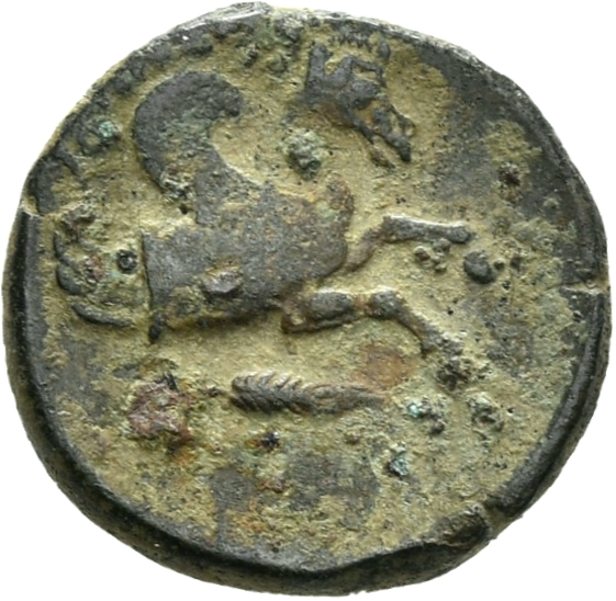 CN Type 3405, реверс, cn-coins