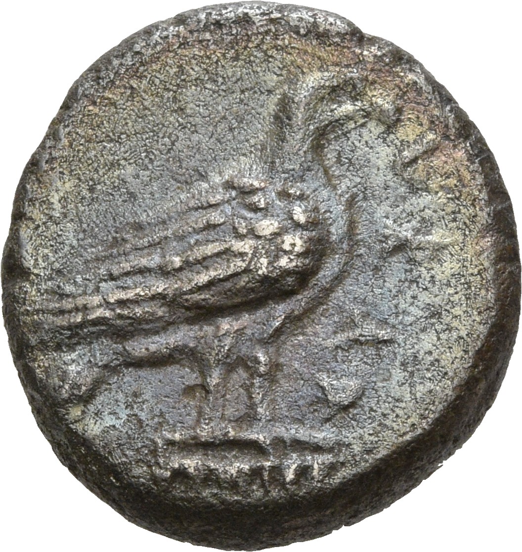 obverse CN Type 3549