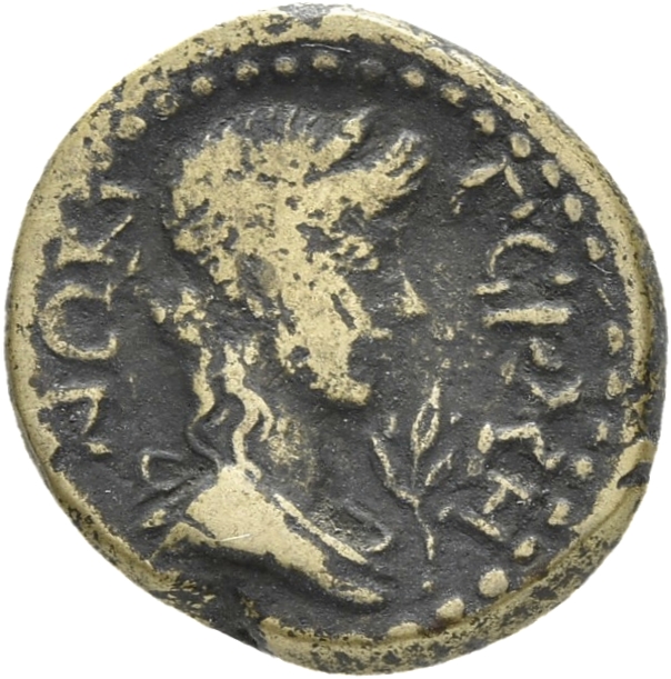 CN Type 3565, реверс, cn-coins