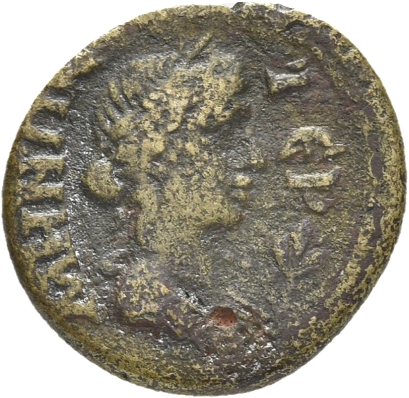 CN Type 3565, реверс, cn-coins