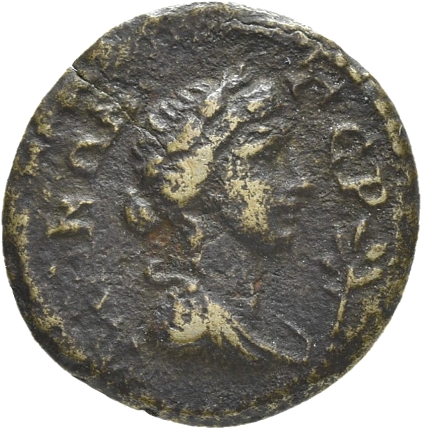 CN Type 3565, реверс, cn-coins