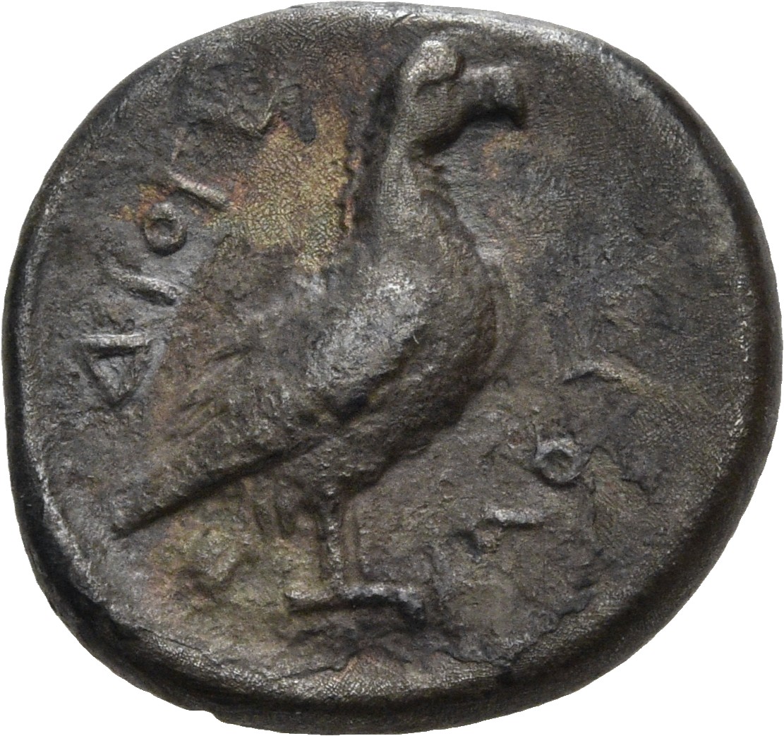 reverse CN Type 3571