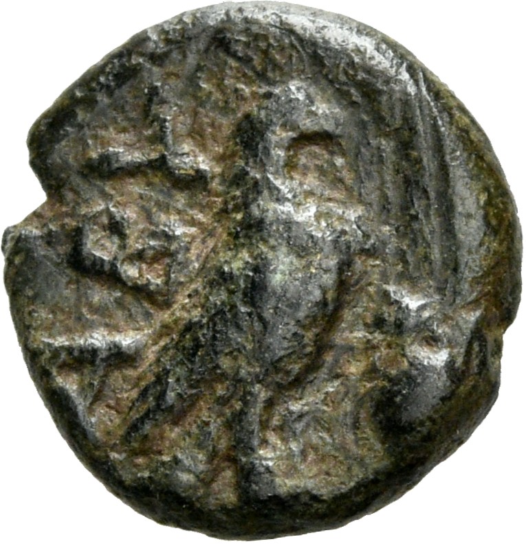 coin rev