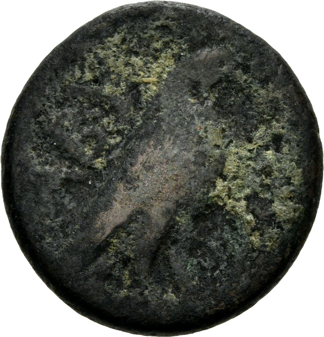 CN Type 2856, реверс, cn-coins
