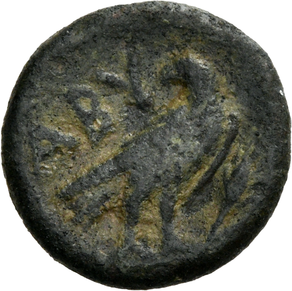 CN Type 3025, реверс, cn-coins