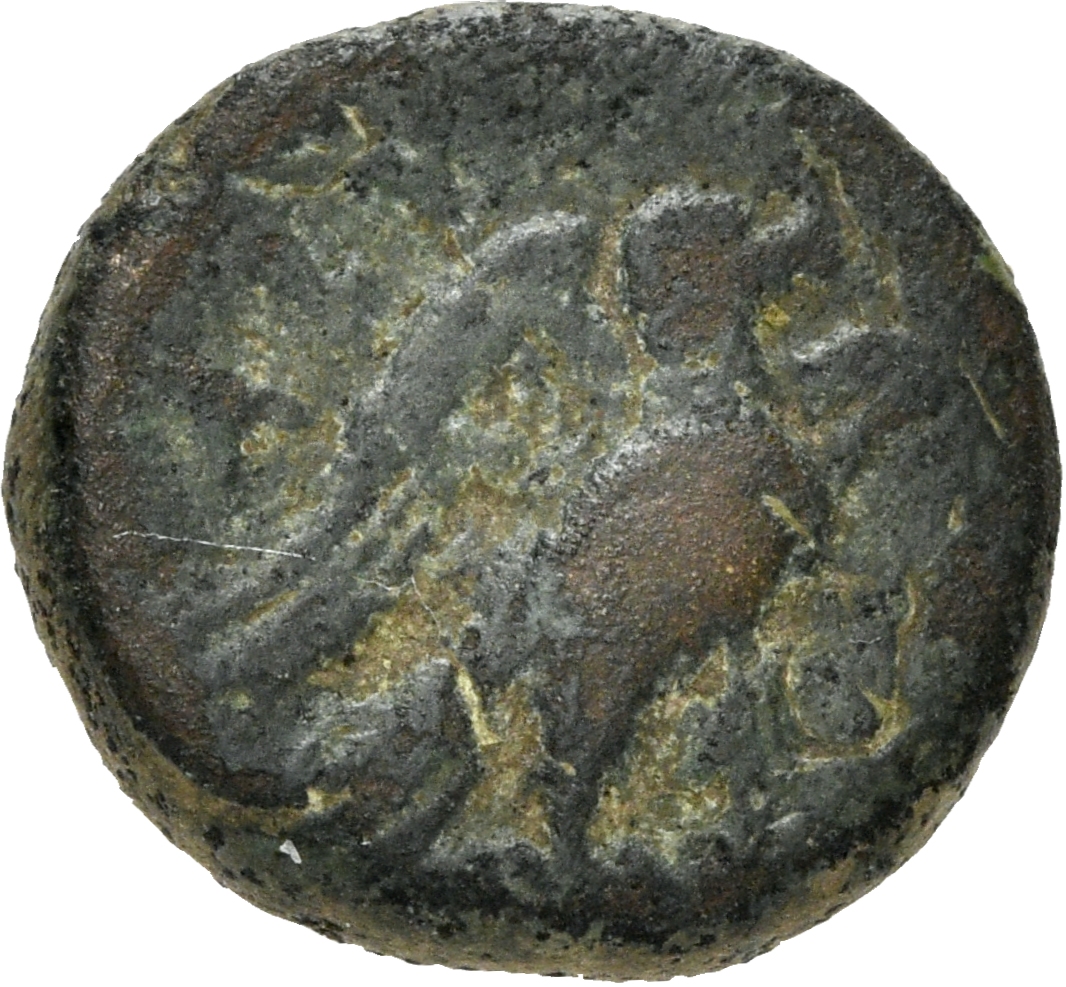 CN Type 3029, реверс, cn-coins