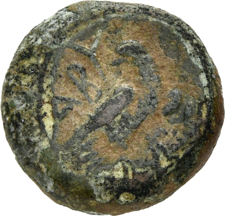 CN Type 3027, реверс, cn-coins