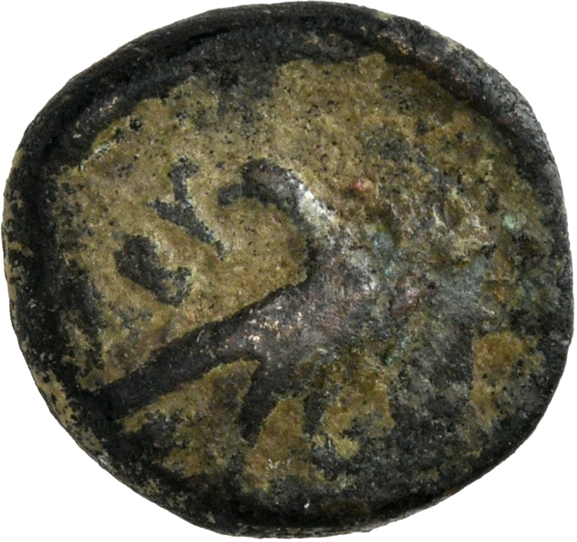 CN Type 3026, реверс, cn-coins