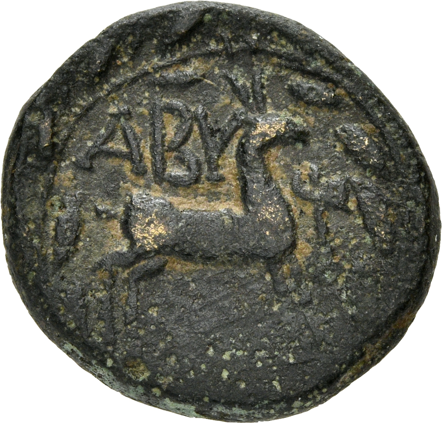 reverse CN Type 3736