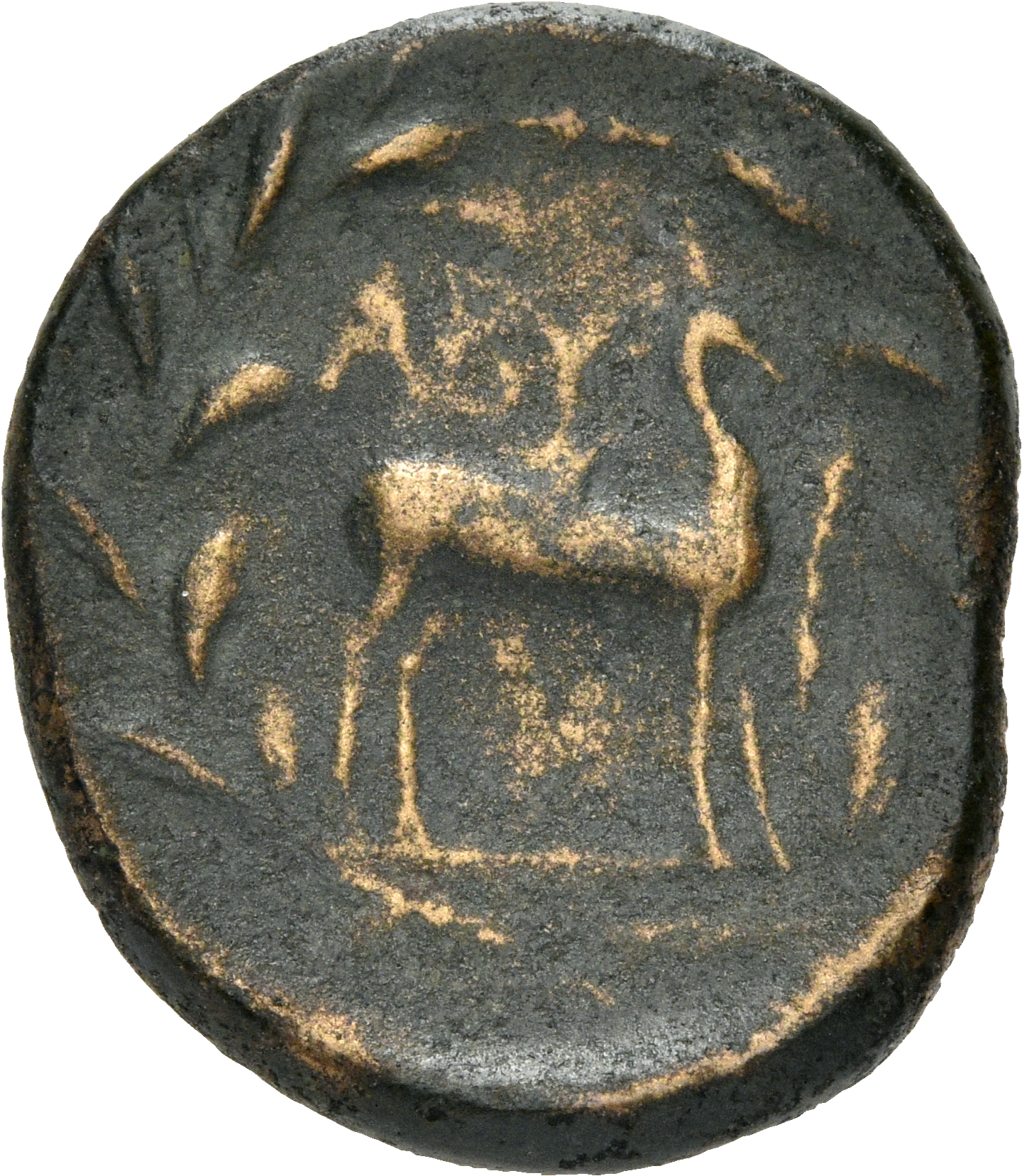 CN Type 3147, реверс, cn-coins