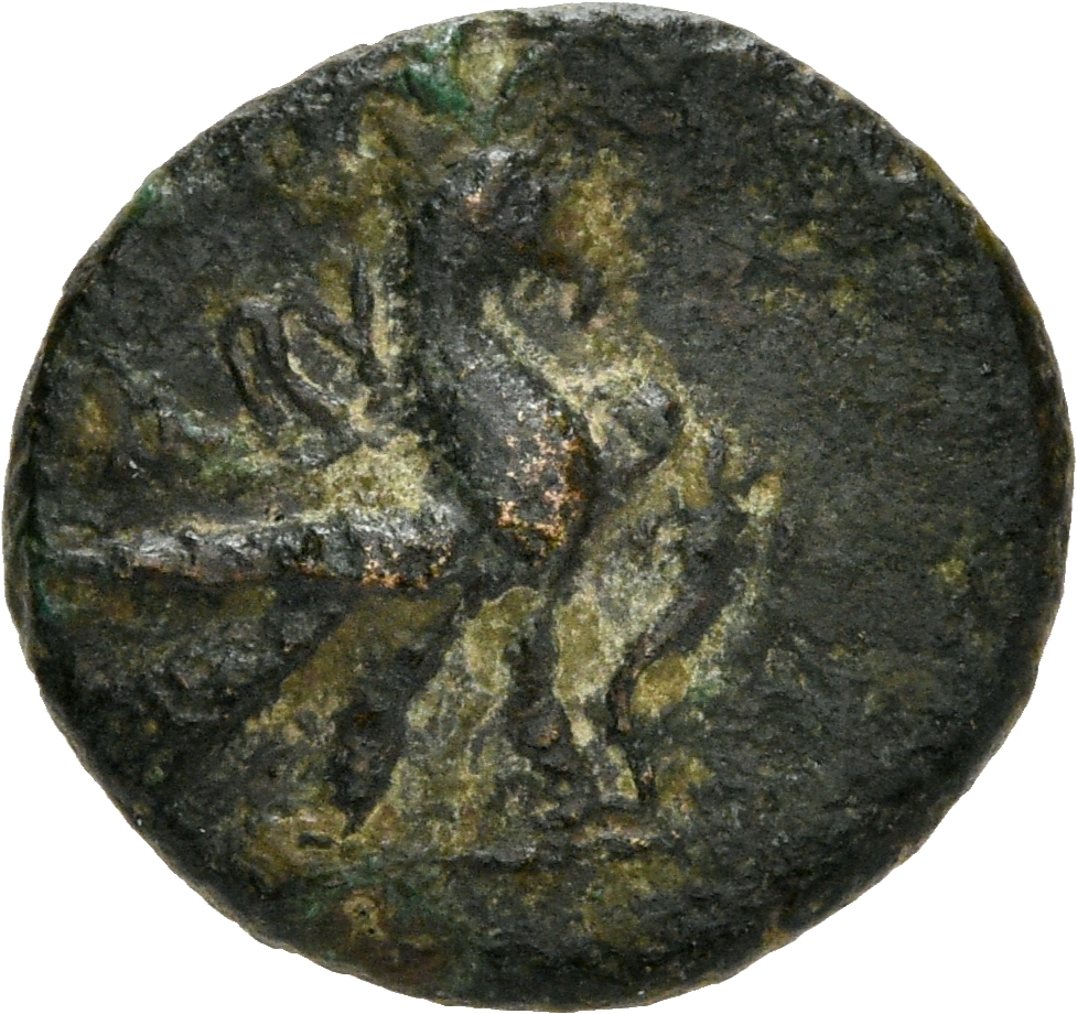 reverse CN Type 3769