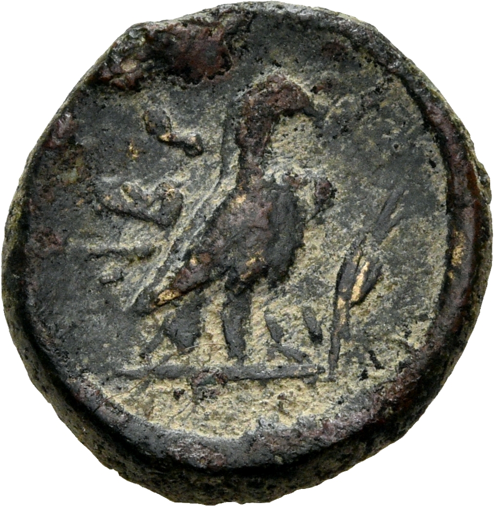 CN Type 3039, реверс, cn-coins