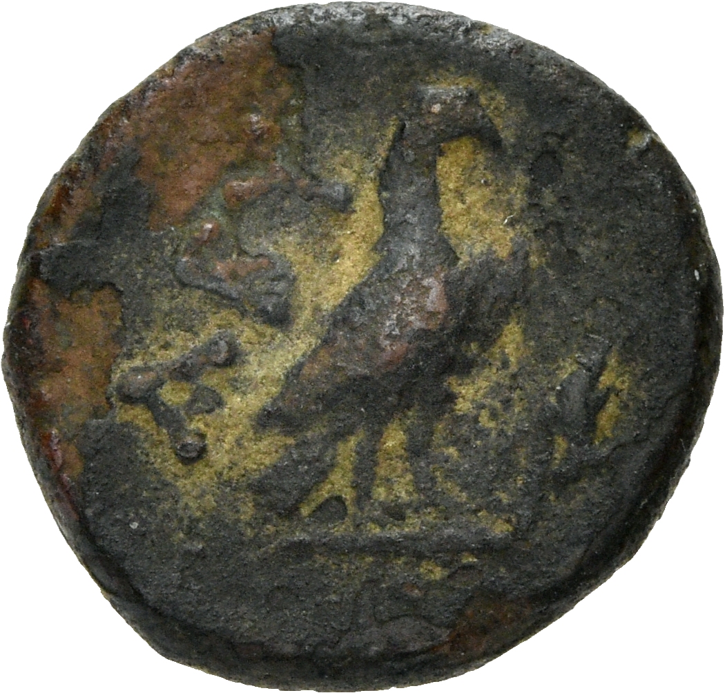 CN Type 3039, реверс, cn-coins