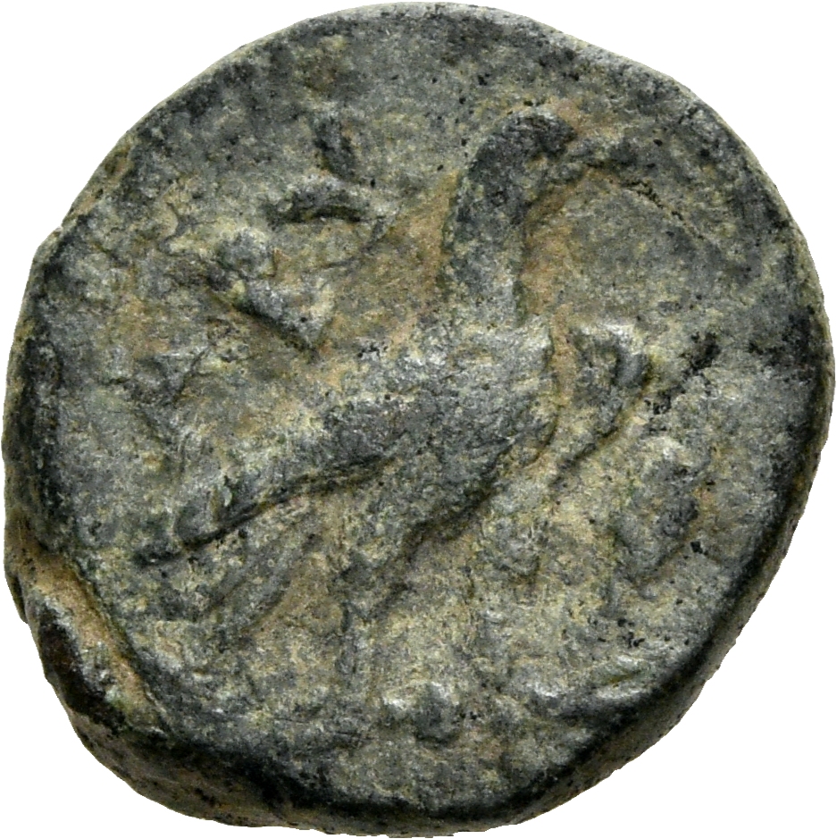 CN Type 3039, реверс, cn-coins