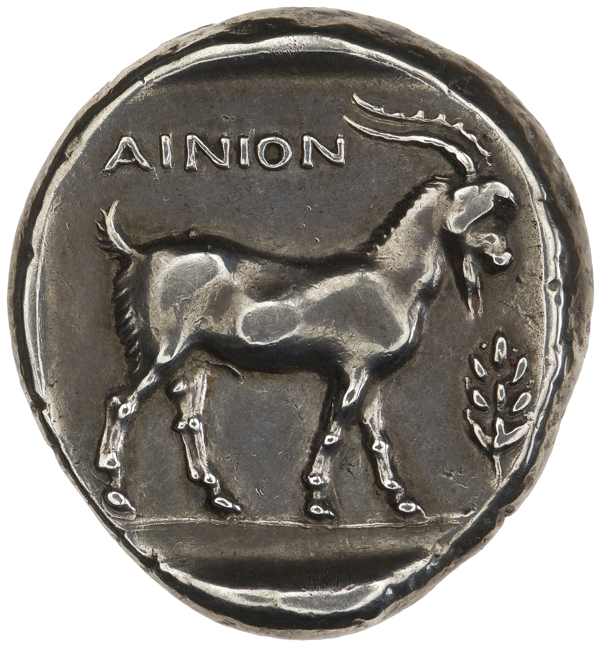 coin rev