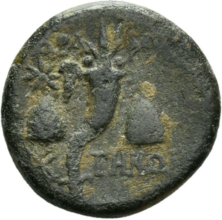 CN Type 3854, реверс, cn-coins