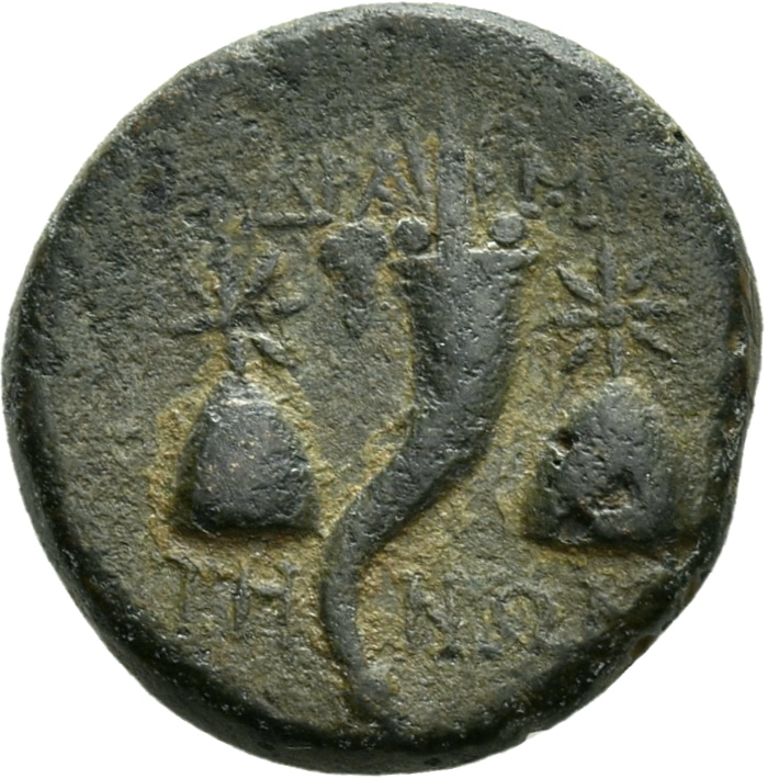 CN Type 3856, реверс, cn-coins